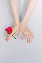 Obraz na płótnie Canvas Top view beautiful graceful female hands with red rose flower. Fashion hand art rose natural cosmetics women, white beautiful hand with red rose, hand care.