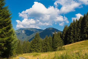 Janska Valley ( Jánska dolina ) ,Tatras , Slovakia © anatoliil