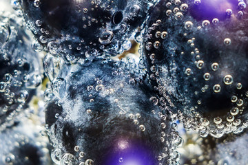 juicy fresh black grapes closeup