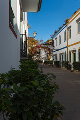 Canary islands gran canaria sunny day
