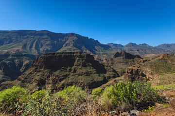 Canary islands gran canaria sunny day