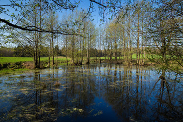 Countryside landscape, spring time in Poland.