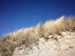 Fototapeta premium ptr