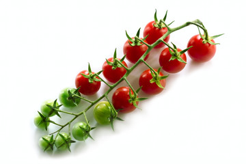 sprig of fresh cherry tomatoes. green and red. in water droplets on a white background