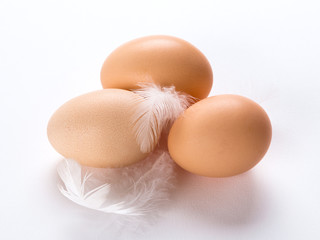 Fototapeta na wymiar fresh farm chicken eggs with white feathers on white background