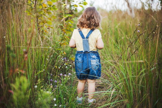 Back view of little girl walking away from camera outside in meadow with long green grass. Horizontal color photography.