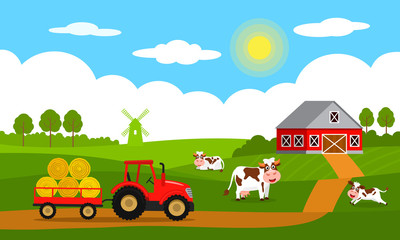 Cute cows and funny calves graze on green grass against the backdrop of a rural summer landscape, farm, mill and red tractor with a trailer.