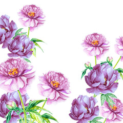 Obraz premium watercolor peony