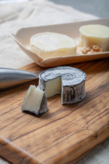 Assortment of French soft goat cheeses, Chevre Cendre, Cabecou Du Perigord and Chevre De Dordogne served on olive tree board