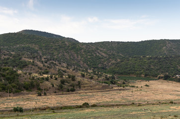 View of the hills and the valley with vineyards, herd of cows, Crimea, summer vacation