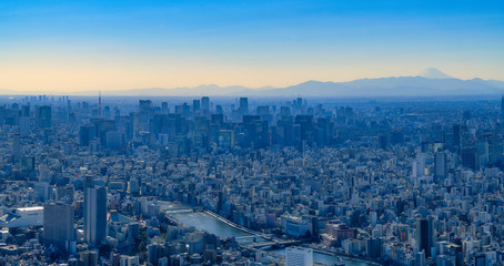 スカイツリーからの都市風景