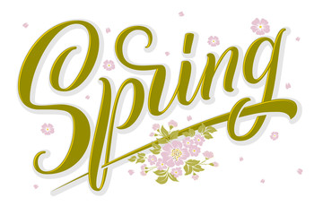 Hand drawn lettering Spring with shadow and highlights, flower elements. Elegant handwritten calligraphy card. Vector Ink illustration. Typography poster. For cards, invitations, prints etc