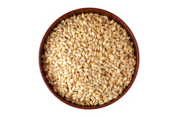 Barley grain (Hordeum vulgare) in wooden bowl isolated on white background