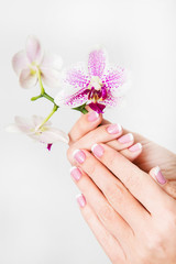 Obraz na płótnie Canvas Beautiful french white and pink manicure. Woman holding beautiful orchid flowers in her hands isolated on white background. Horizontal color photography.