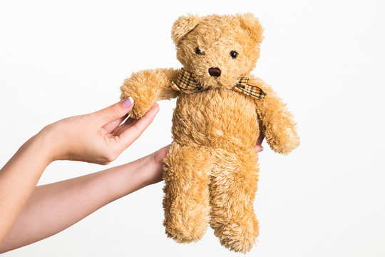 Closeup view of beautiful female hands holding cute small brown toy bear isolated on white background. Horizontal color photography.