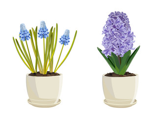 Vector spring flowers in pots isolated on white. Set.