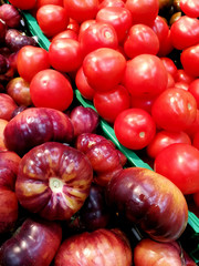 purple tomatoes and red tomatoes in the market