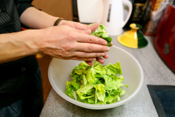 Obraz na płótnie Canvas Close up of female hands and woman preparing green salad, cooking in kitchen. Housewife slicing and prepared fresh salad. Chef cutting greens in plastic bowl. Vegetarian and healthy cooking concept.