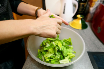 Close up of female hands and woman preparing green salad, cooking in kitchen. Housewife slicing and prepared fresh salad. Chef cutting greens in plastic bowl. Vegetarian and healthy cooking concept.
