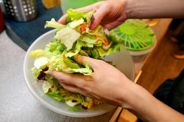 Close up of female hands and woman preparing green salad, cooking in kitchen. Housewife slicing and prepared fresh salad. Chef cutting greens in plastic bowl. Vegetarian and healthy cooking concept.