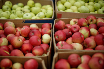 red and white apples at the market