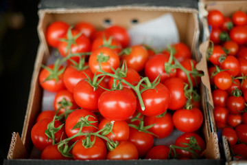 fresh tomatoes in a box