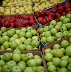 green and red apples in the market