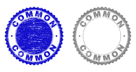Grunge COMMON stamp seals isolated on a white background. Rosette seals with grunge texture in blue and grey colors. Vector rubber stamp imprint of COMMON title inside round rosette.