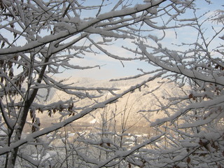 Obraz premium beautiful winter day in a snowy park