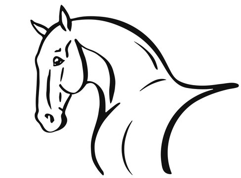 Horse head shape outline