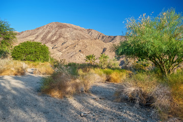 Palm Springs Land