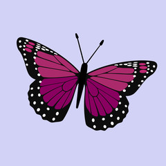 Purple Winged Butterfly Vector - Monarch Digital Design