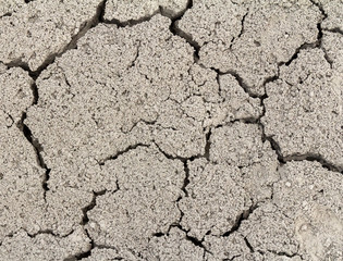 soil closeup