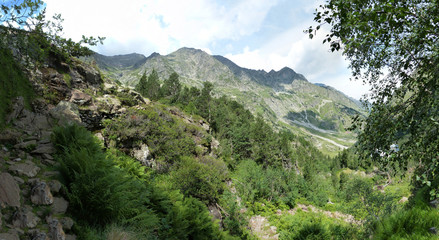 Obraz premium en allant vers Pouchergues