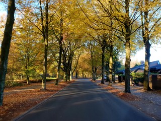 Obraz premium Herbst 