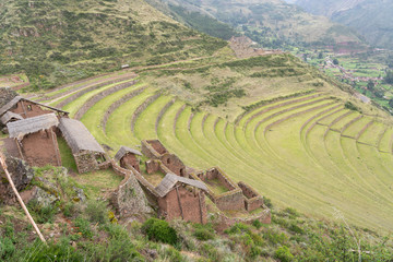 Terraces and Incan ruins in Pisac, Peru - obrazy, fototapety, plakaty