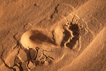 The red sand dunes in Mui ne, Vietnam is popular travel destination with long coastline