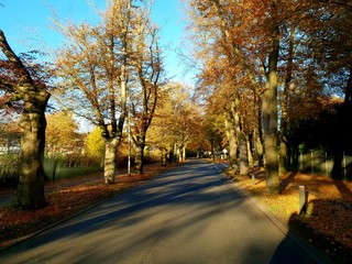 Fototapeta premium Herbst 