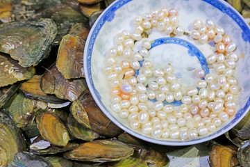 Pearl mussel and plate