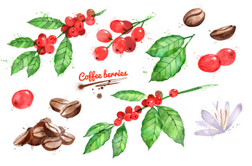 Set of coffee beans and berries with leaves 