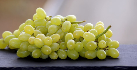 Nahaufnahme von Rebe frische Weintrauben