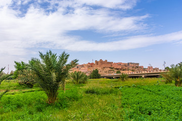 Fototapeta premium Oasis of Tinghir, little town in Morocco