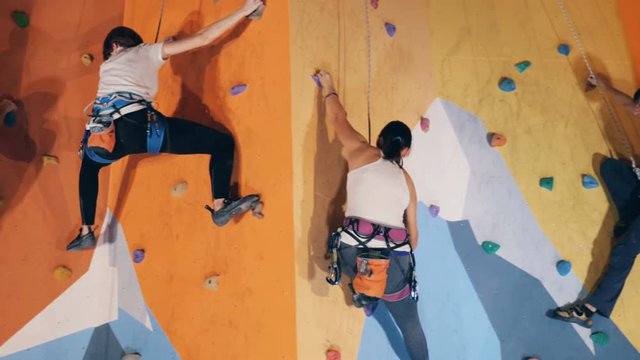 Many climbers training on a wall, close up.