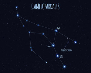 Camelopardalis (The Giraffe) constellation, vector illustration with the names of basic stars against the starry sky