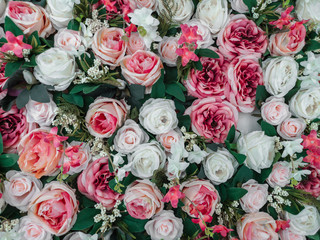 Close up of colorful artificial flowers wall background .Roses flower wallpaper backdrop.