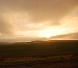 Sunset over the field