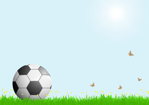 Realistic football on green grass with sunlight on blue sky background, vector illustration
