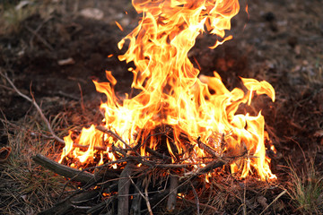 hot fire flame/ fire
