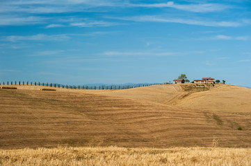 Fototapeta na wymiar landscape of the Sienese-Tuscan countryside