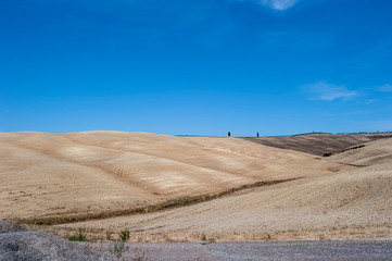 landscape of the Sienese-Tuscan countryside